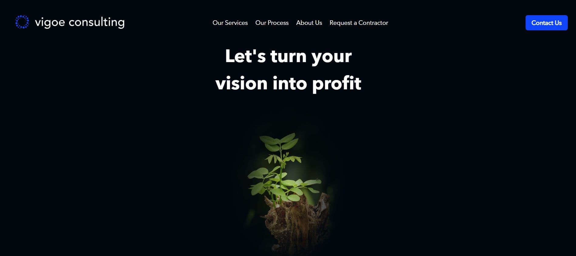 Vigoe Consulting